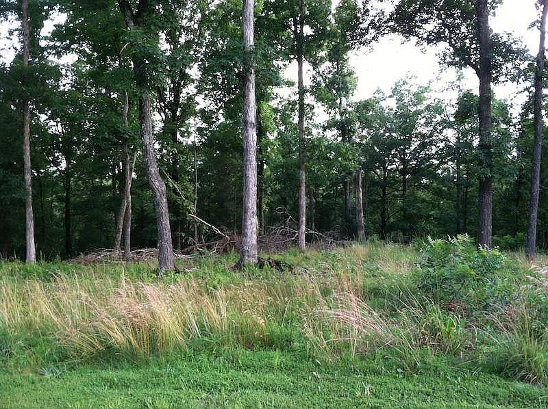 1st image of LOT 30 Hills Hollow Rd