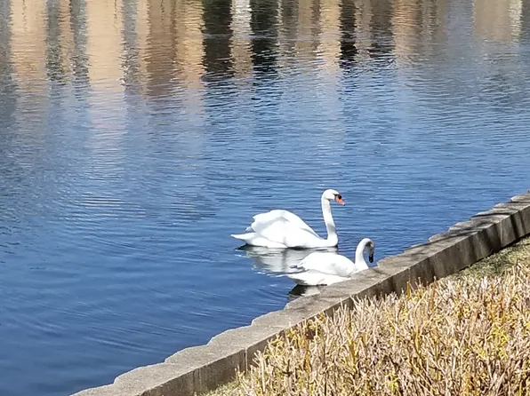 Huntington Square Apartments
