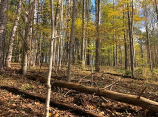 0 Oakridge Dr, Thaxton, VA 24174