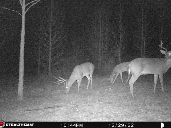 E Highway 28, Harvey, AR 72841
