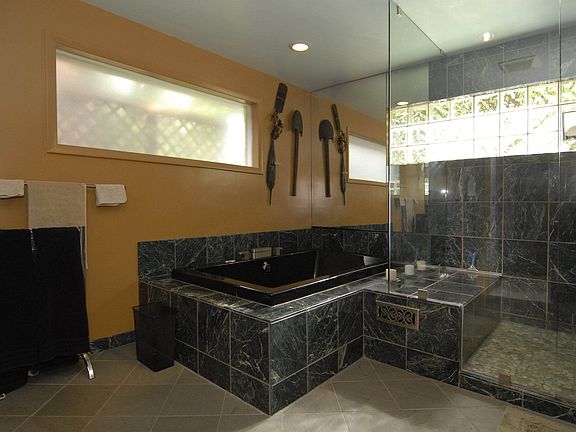 Master Shower & Soaking Tub