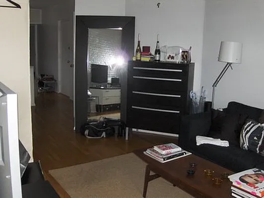 Rented by Living New York | media 29