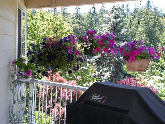 main house deck