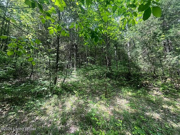 5th image of 449 Doug Thompson Rd