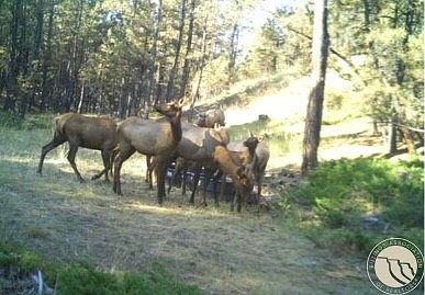 4th image of 2786 Trail Rd #79