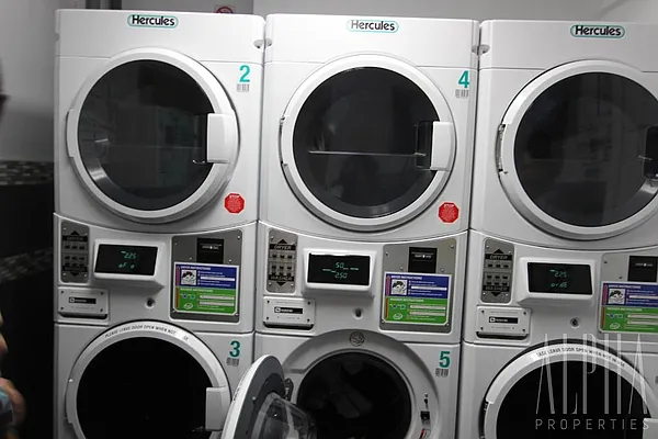 Rented by Alpha Properties NYC I LLC | media 27