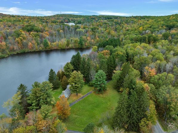 105 Gaf Lake Rd, Windsor, NY 13865