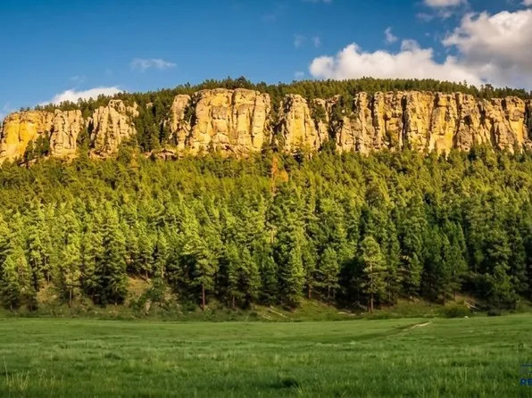 12726 Nemo Rd, Nemo, SD 57759