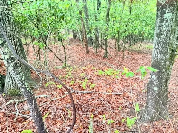 Lot 61 Sams Drive and/or James Street, Fleetwood, NC 28626