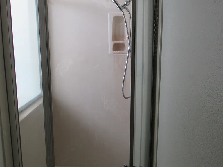 Master bathroom additional shower stall