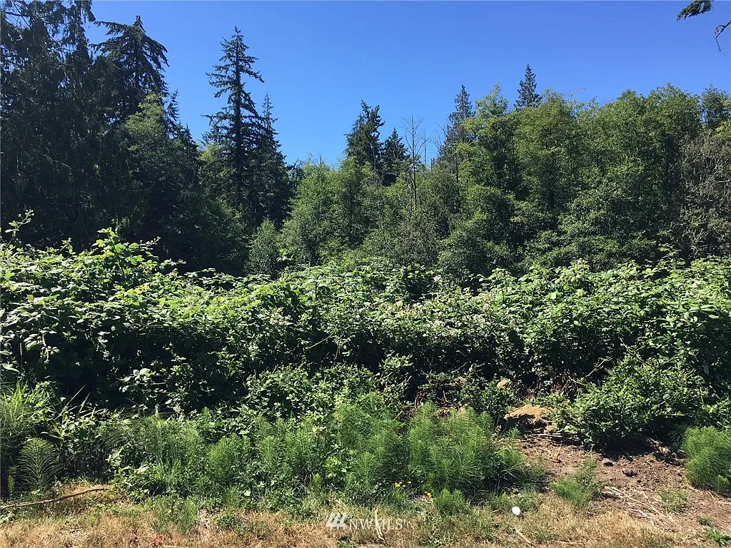 4955 Reindeer Road photo 1