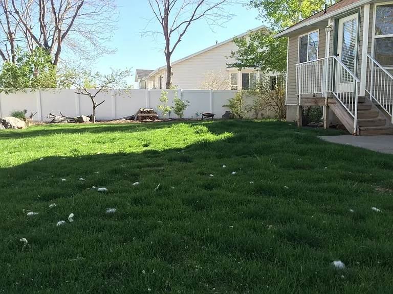 Fully Fenced Backyard