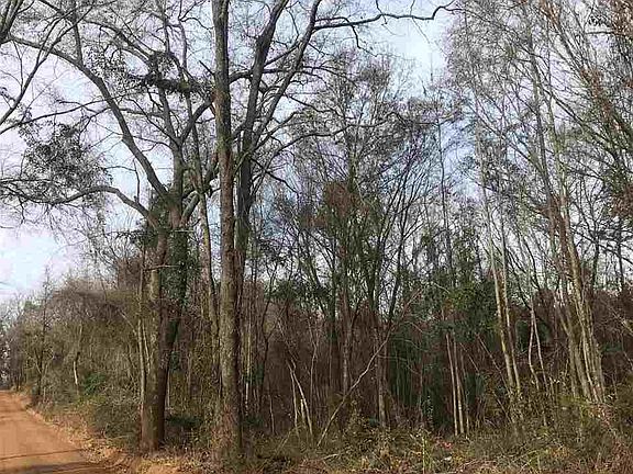 2nd image of County Road 2618
