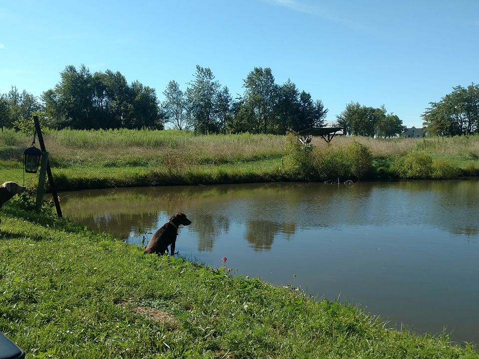 2nd image of Blue Chip Rd