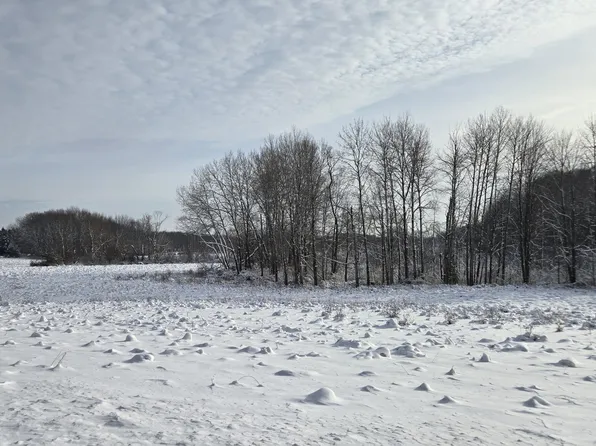 S 100th Ave, Rothbury, MI 49452