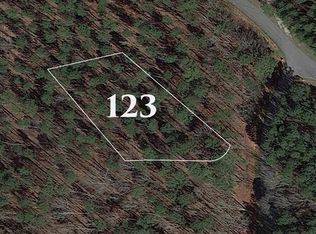 1001 Nighthawk Way #123, Greensboro, GA 30642