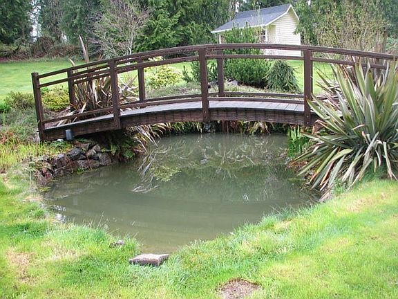 Pond