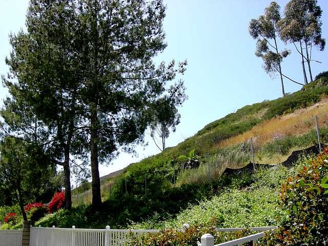 1st image of 5991 Corte Playa Pacifica