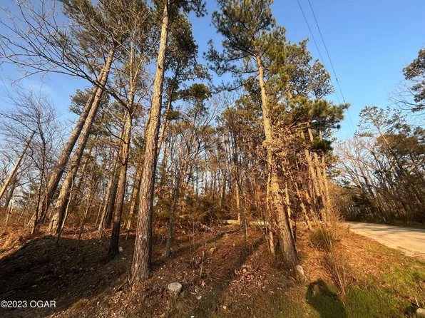 .29 Acres Corner Of Davis +High St. Street, Noel, MO 64854