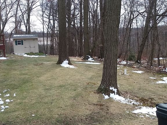 side yard with shed view