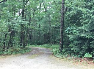 6869 Needles Rd, Indian River, MI 49749