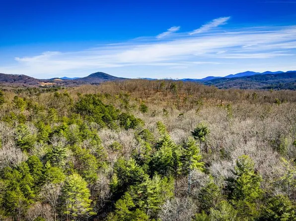 32.3 Maple Grove Rd, Morganton, GA 30560