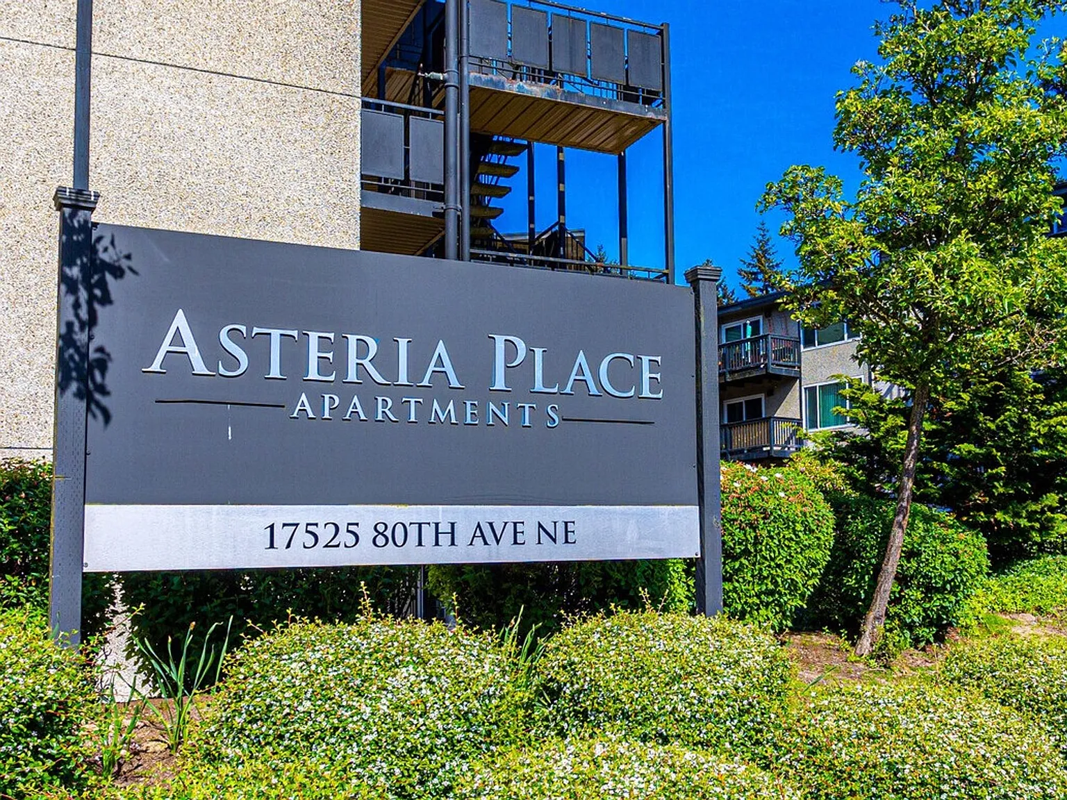 Asteria Place Apartments — Photo 3