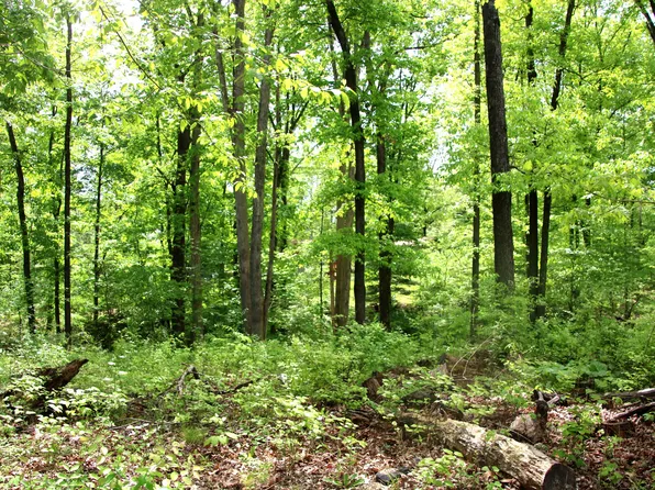 0 Elk Dr, Nineveh, IN 46164