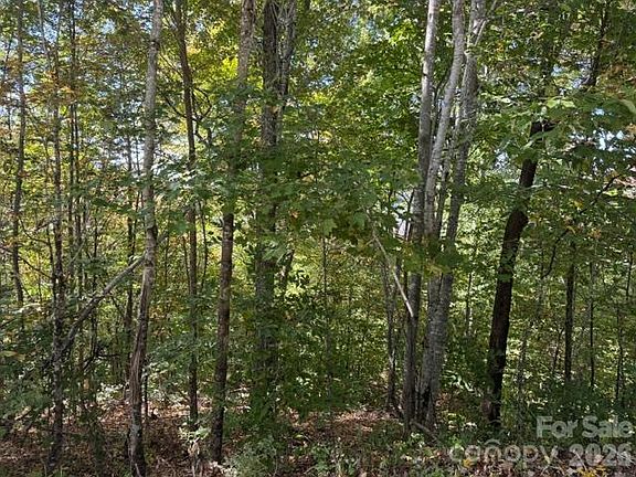5th image of 50 Scenic Wolf Ridge Rd