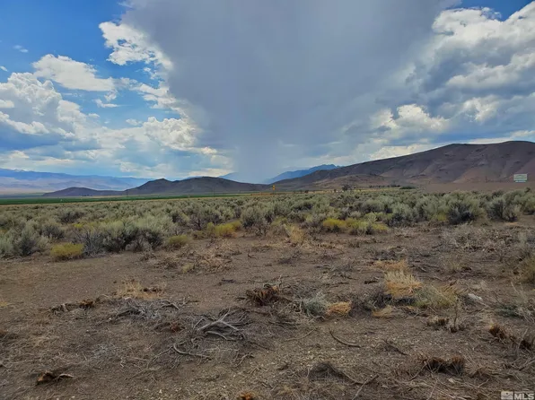 3929 Carter Dr, Wellington, NV 89444