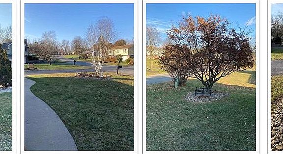 3rd image of 227 Essex Ln