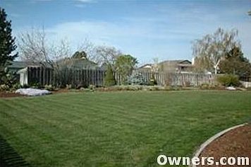 Large landscaped yard