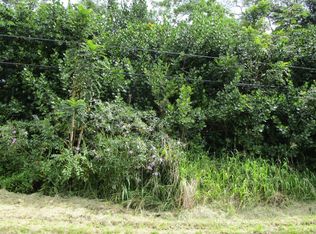 Beach Rd LOT 45, Keaau, HI 96749