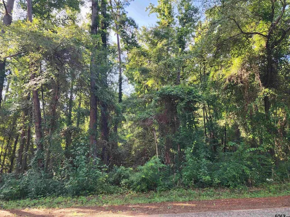 County Road 384 Old Longview Rd, Tyler, TX 75708
