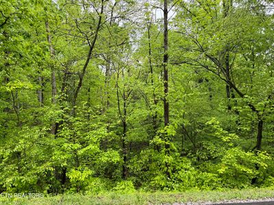 104 Chanusi Way, Tellico Plns, TN, 37774