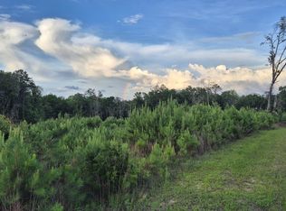 1 Brooklyn Rd, Evergreen, AL 36401