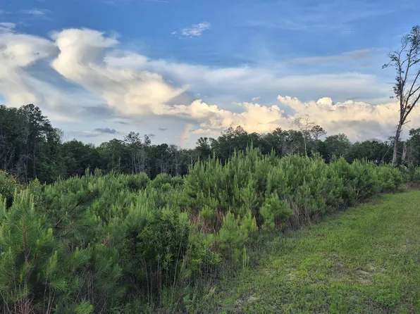 0 Brooklyn Rd, Evergreen, AL 36401