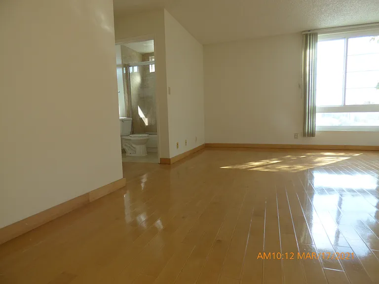 Master Bedroom / Windows