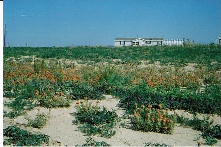 7.7 acres! 