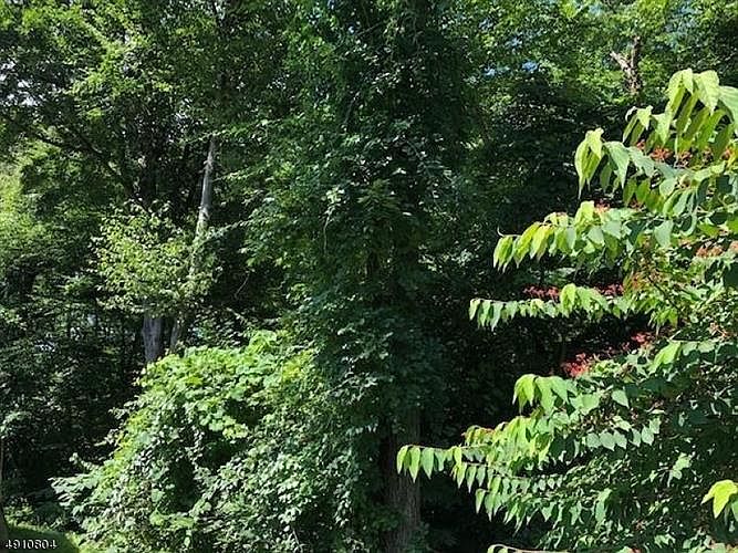 25 Valley Dr, Glenwood, NJ 07418 Zillow