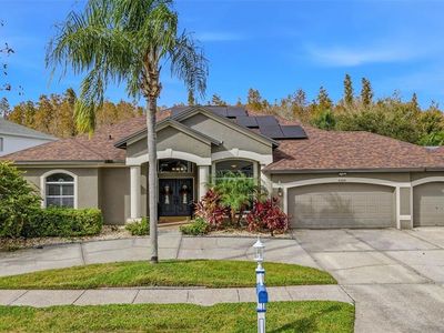 4309 Waterford Landing Dr, Lutz, FL, 33558