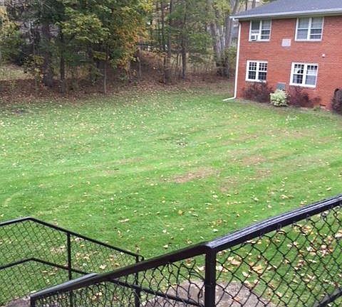 front yard