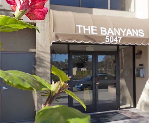 The Banyans