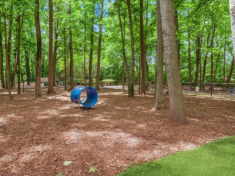 Arbor Village — Photo 30