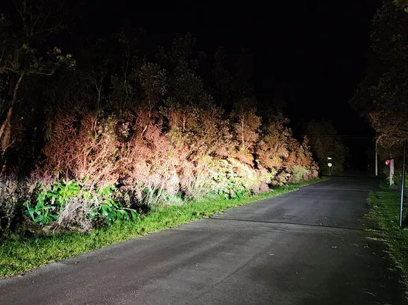 8th St Lot 750, Volcano, HI 96785