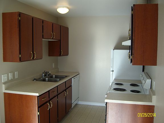 Kitchen with electric stove, vent, cabinets, and dishwasher.