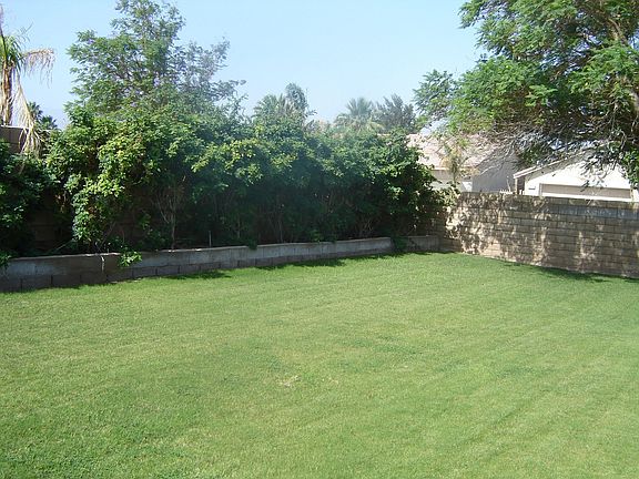Backyard