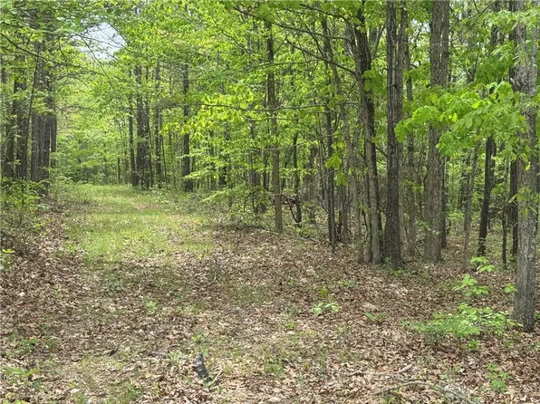 3754 Nc #3050, Jasper, AR 72641