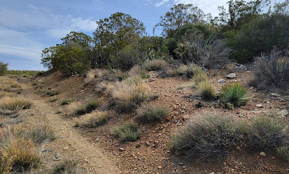 0 Palace Dr, Mountain Center, CA 92561 MLS 219075239DA Zillow