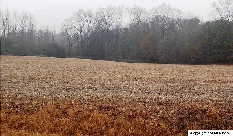 1st image of County Road 1809